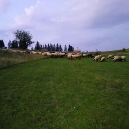 Nyaraló Koliba